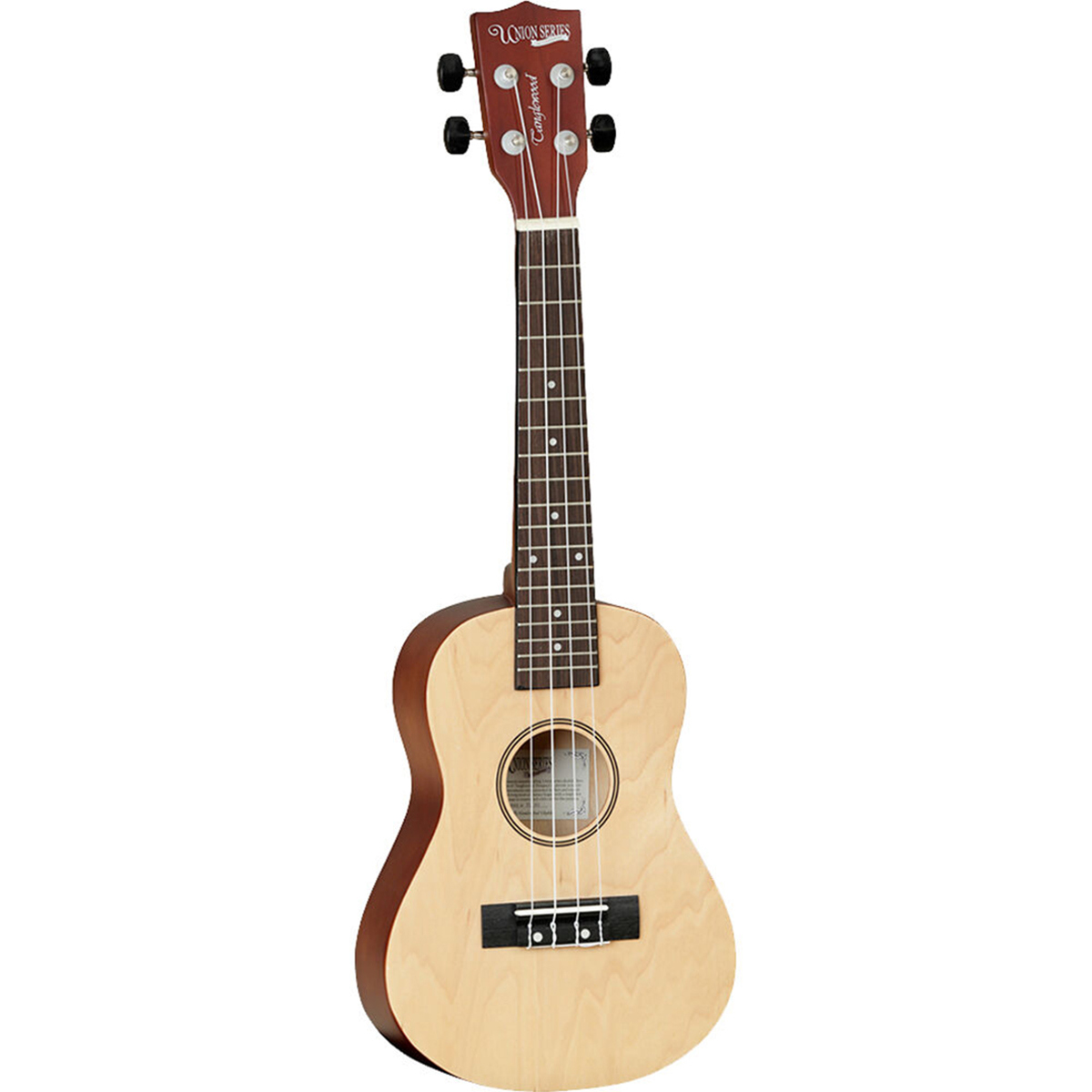 

Tanglewood Learn-To-Play TU101 Plywood Concert Ukulele Bundle