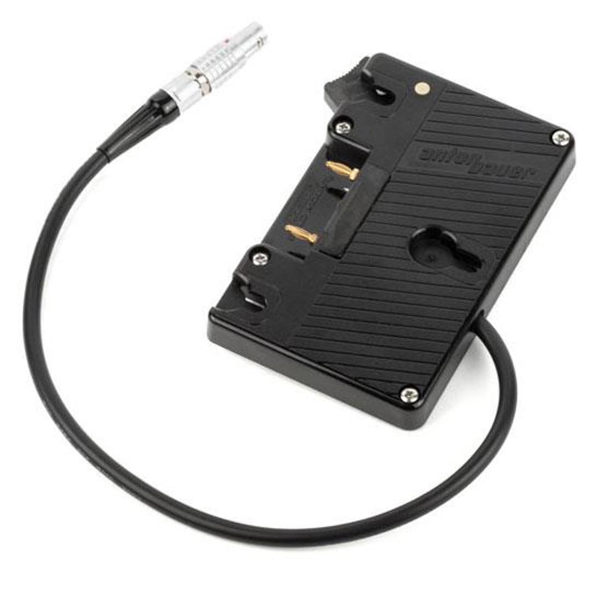 

Wooden Camera Gold Mount for Canon C300 Mark II Camera