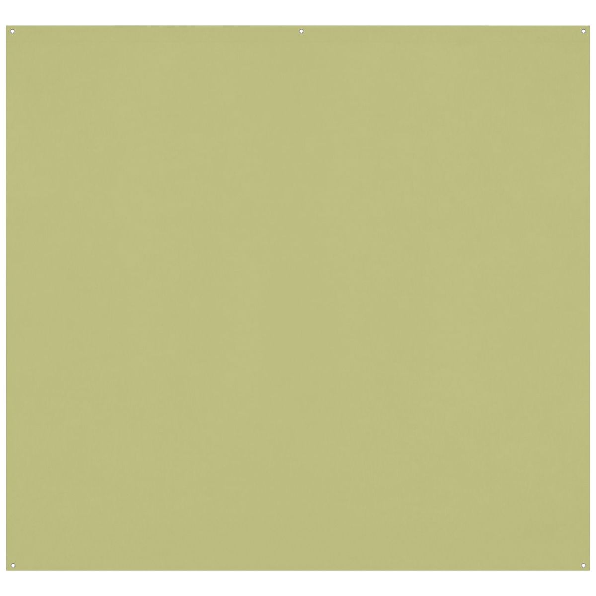 

Westcott 8x8' X-Drop Pro Wrinkle-Resistant Backdrop, Light Moss Green