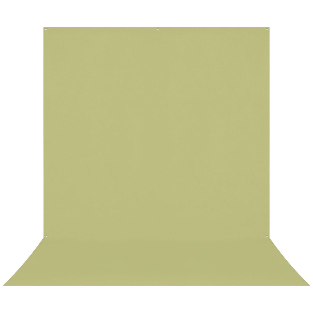 

Westcott 8x13' X-Drop Pro Wrinkle-Resistant Backdrop, Light Moss Green